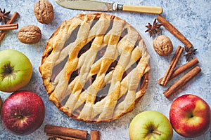 Fresh baked tasty homemade apple pie cake with ingredients on side