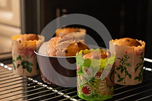 Fresh baking cupcakes with raisins on a baking sheet in the oven