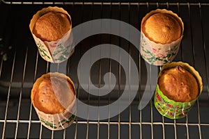 Fresh baking cupcakes with raisins on a baking sheet in the oven