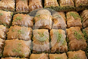 Fresh Baklava Turkish dessert