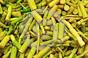 Fresh Bamboo shoots or bamboo sprouts background photo