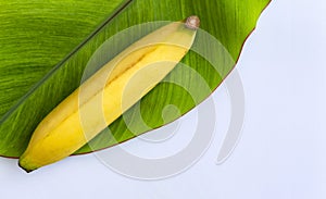 Fresh banana has soft pulpy flesh and yellow skin when ripe with