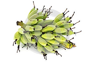 Fresh Bananas On Bunch