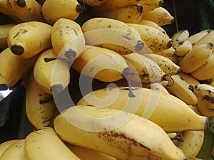 fresh bananas king of the fruit world