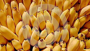 Fresh bananas on pile
