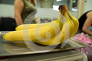 Fresh bananas on the scales at the market