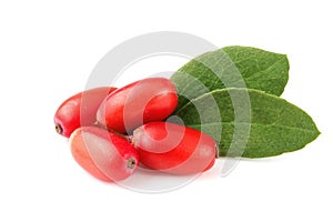 Fresh barberry with leaves isolated on a white background