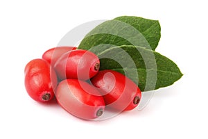 Fresh barberry with leaves on a white background