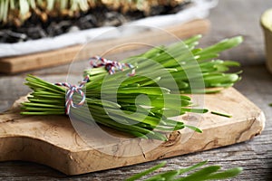 Fresh barley grass blades on a wooden cutting board