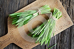 Fresh barleygrass on a table