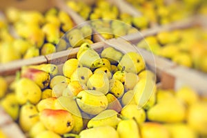 Fresh Bartlett pears on display at the farmer`s market