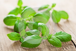 Fresh basil