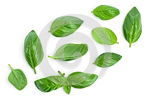 Fresh basil leaf isolated on white background with clipping path and full depth of field. Top view with copy space for