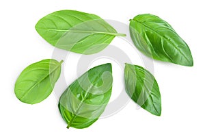 Fresh basil leaf isolated on white background with clipping path and full depth of field. Top view. Flat lay