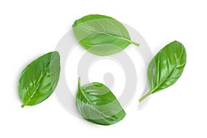 Fresh basil leaf isolated on white background with clipping path and full depth of field. Top view. Flat lay