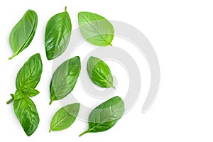 Fresh basil leaf isolated on white background with clipping path. Top view with copy space for your text. Flat lay