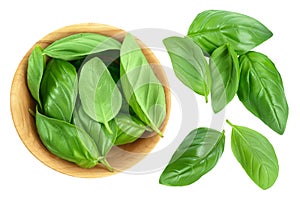 Fresh basil leaf in woode bowl isolated on white background with clipping path . Top view. Flat lay