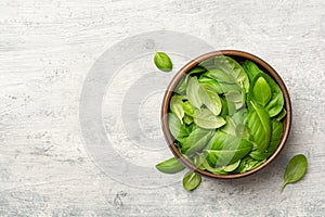 Fresh basil leaves in ceramic bowl on concrete background