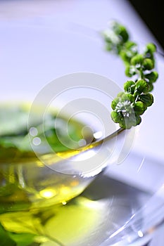 Fresh basil leaves in olive oil