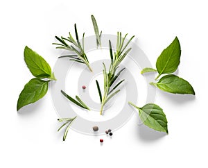 Fresh basil, rosemary leaves and peper isolated on white background. With clipping path. Transparent background and natural