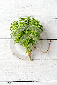 Fresh basil on white wooden background in retro style.