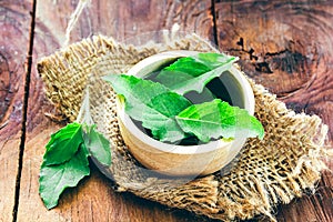 Fresh basil on a wooden background