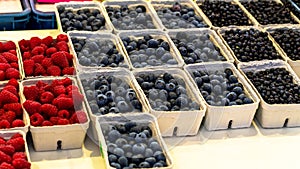 Fresh Baskets of Organically grown raspberries, blackberries and blueberries for sale at the downtown farmers market.