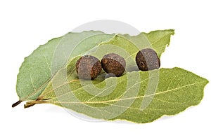 Fresh bay leaf and peppercorns on white background