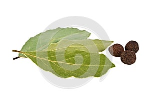 Fresh bay leaf and peppercorns on white background