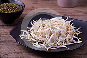 Fresh beansprouts on black plate background