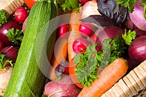 Fresh beautiful vegetables