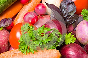 Fresh beautiful vegetables.