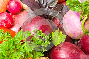 Fresh beautiful vegetables. yield