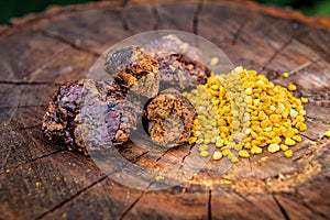 Fresh bee pollen and propolis