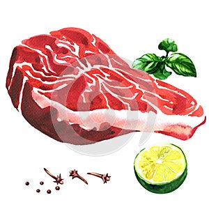 Fresh beef steak, raw marbled beef with lime, basil, spices, food concept, isolated, hand drawn watercolor illustration