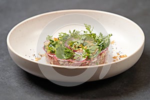 Fresh beef tartare dish with fresh vegetables in white plate