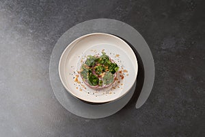 Fresh beef tartare dish with fresh vegetables in white plate