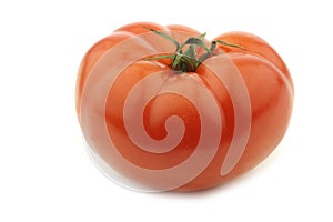fresh beef tomato
