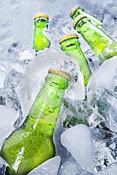 Fresh beer bottles on ice