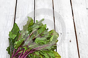 Fresh beet leaf bunch