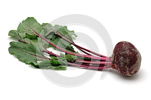 Fresh beet root