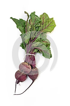 Fresh beetroot bunch