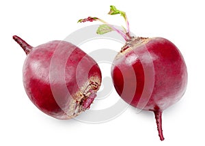 fresh beetroot with green leaves isolated on a white background. top view