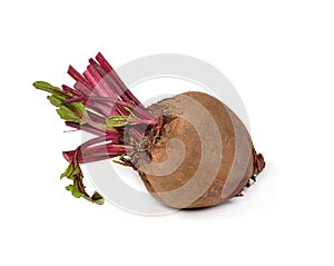 Fresh beetroot isolated on white background