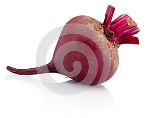 Fresh beetroot isolated on white background