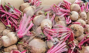 Fresh beetroots