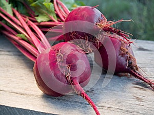 Fresh beets