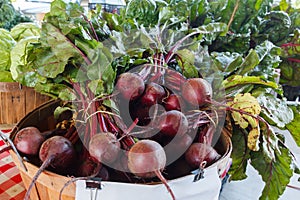 Fresh Beets at a Produce Stand