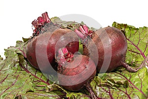 Fresh beets. Beets leaves and fresh beetroot