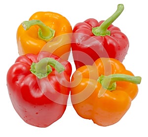 Fresh bell pepper